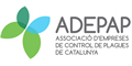 Adepap Adepap