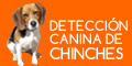 chinches12060