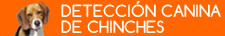 deteccion-canina-chinches