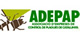Adepap Adepap