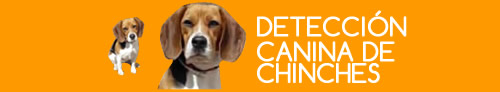 baner-deteccion-canina-chinches