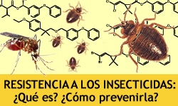 resistencia insecticidas