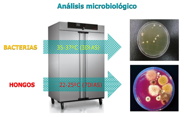 analisis microbiologico