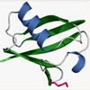 proteina ubiquitina
