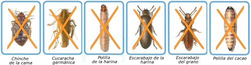 cryonite-bichos.jpg
