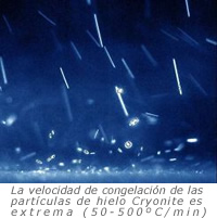 cryonite-congelacin2.jpg