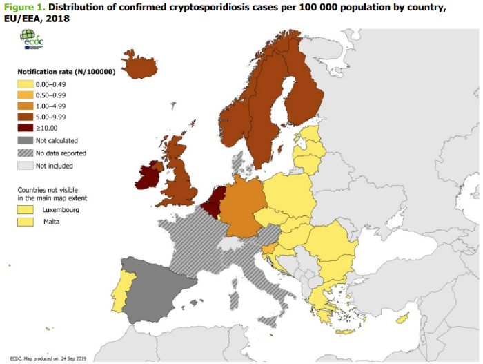 Cryptosporidium