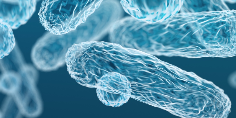 control de legionella