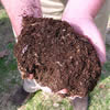 compost