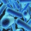 legionella