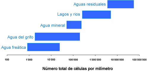 bacterias-agua