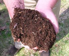 compost