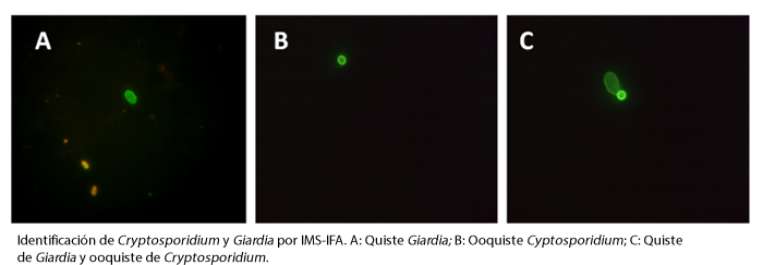 Tratamiento UV del agua efectivo para Cryptosporidium y Giardia