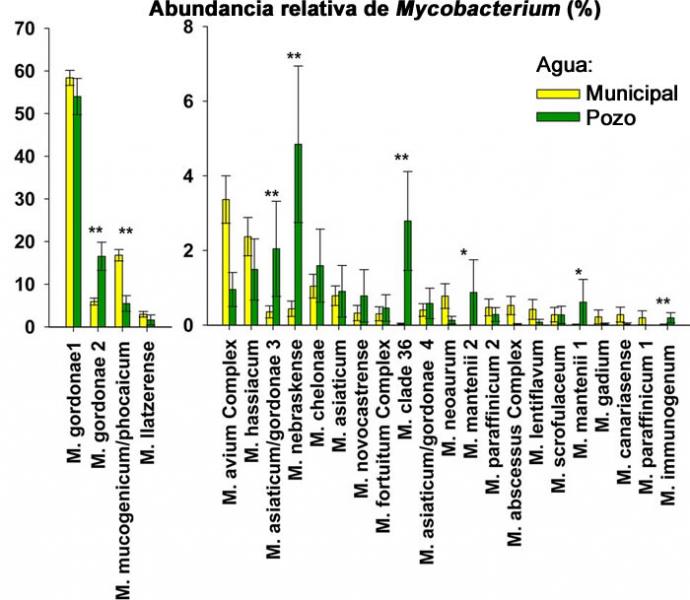 micobacterias