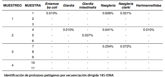 Tratamiento UV del agua efectivo para Cryptosporidium y Giardia