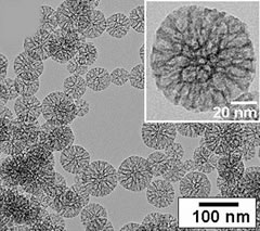 nanoparticulas