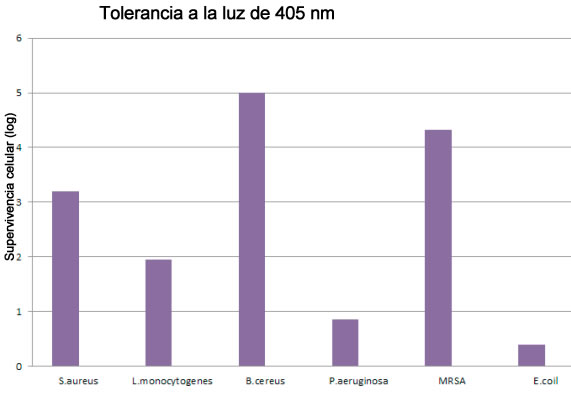 desinfeccion