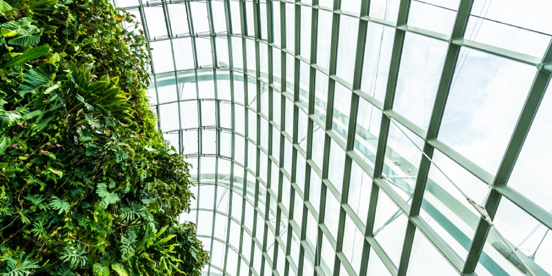 calidad ambiental interior