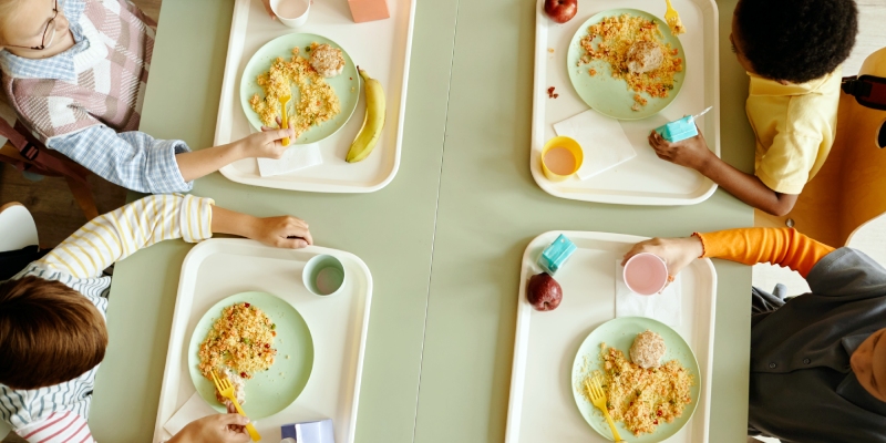 menus escolares especiales
