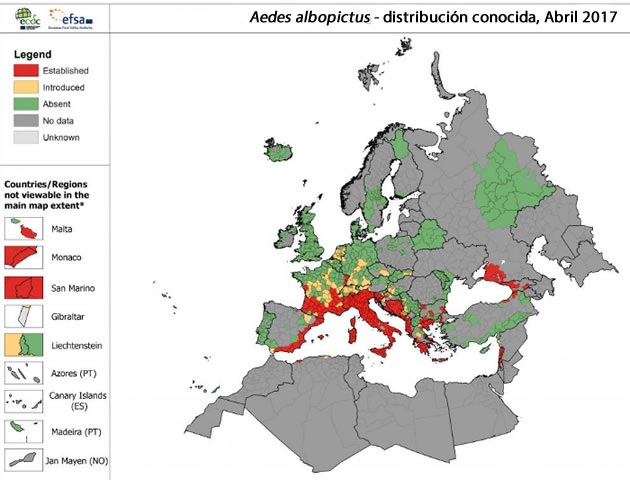 aedes