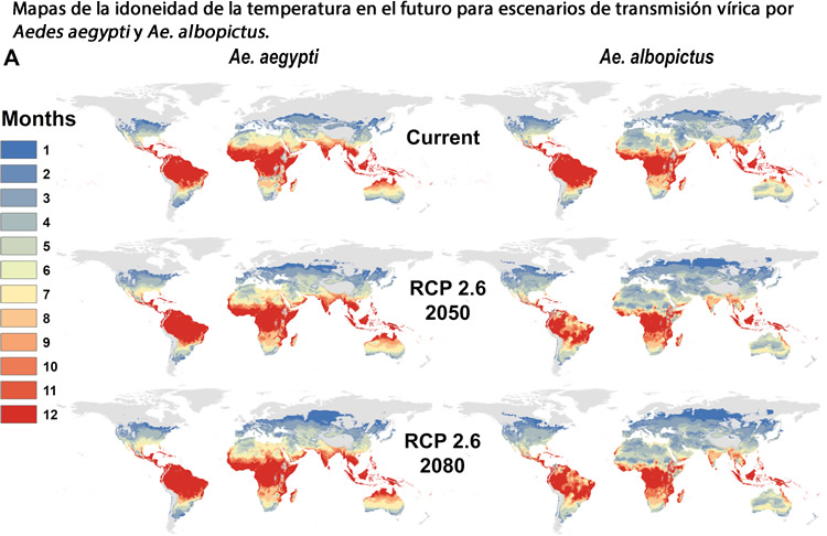 El cambio climático redistribuirá las arbovirosis