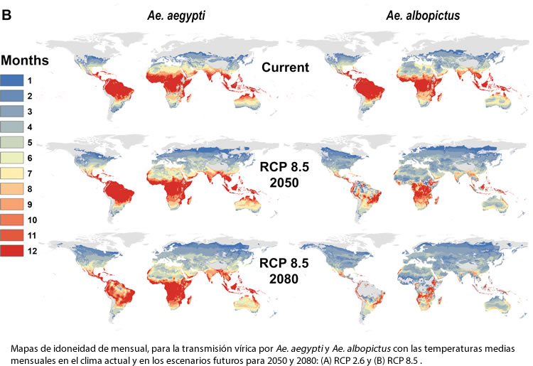 El cambio climático redistribuirá las arbovirosis