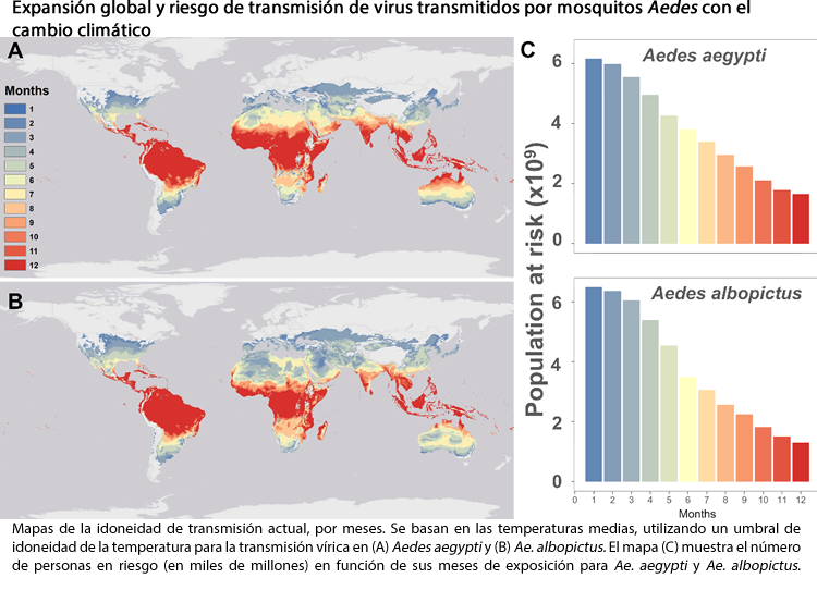 El cambio climático redistribuirá las arbovirosis