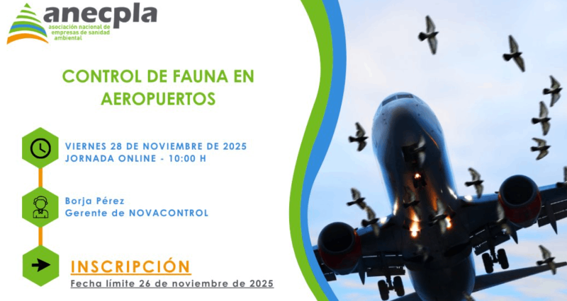 Control de fauna en aeropuertos