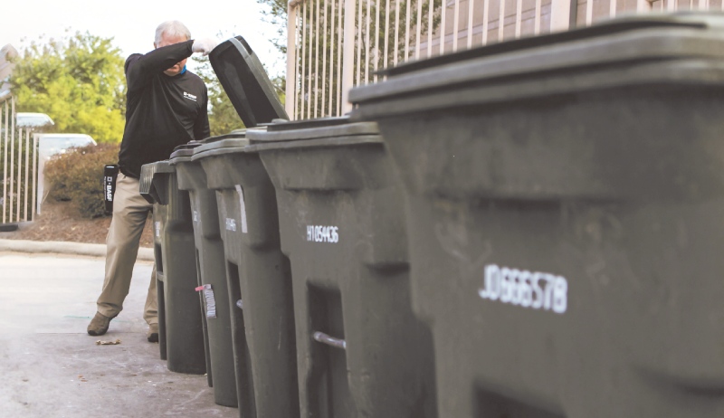 controlar roedores en zonas urbanas