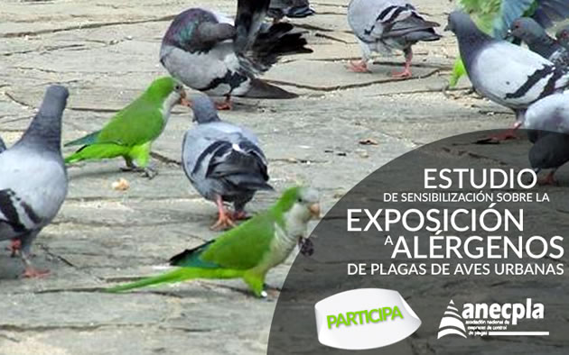 anecpla aves urbanas