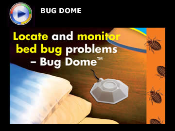 bug dome video