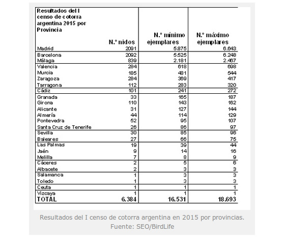 cotorras