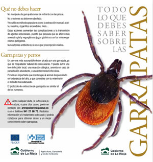 garrapatas