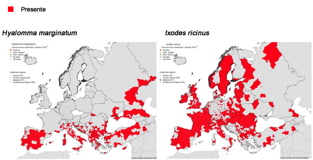 garrapatas europa