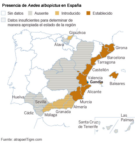 aedes albopictus mapa