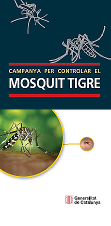 mosquit tigre