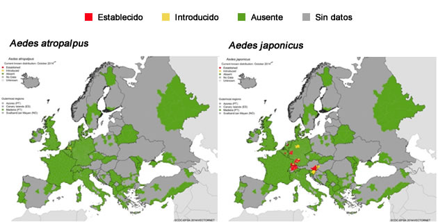 mosquitos europa