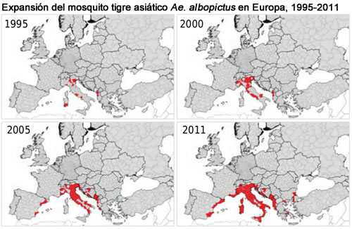 mosquitos-vigilancia