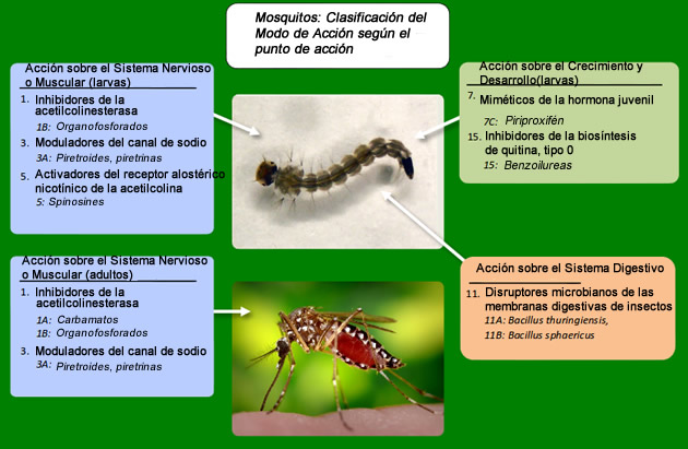 insecticidas