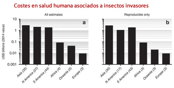 insectos