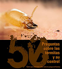 termitas