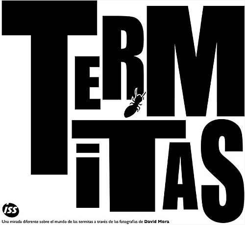 termitas