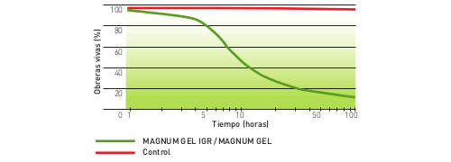 magnum-gel