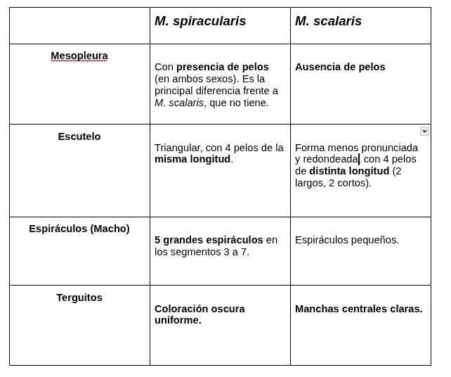 mosca Megaselia spiracularis en España