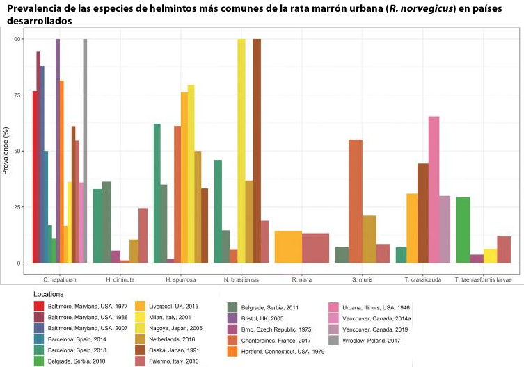 ratas