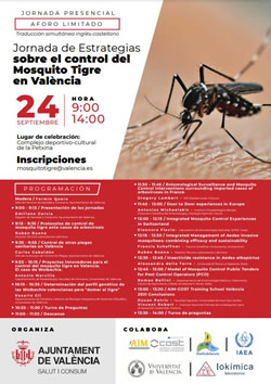 mosquito tigre