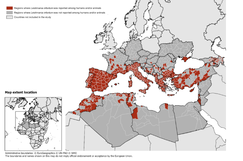 leishmaniasis