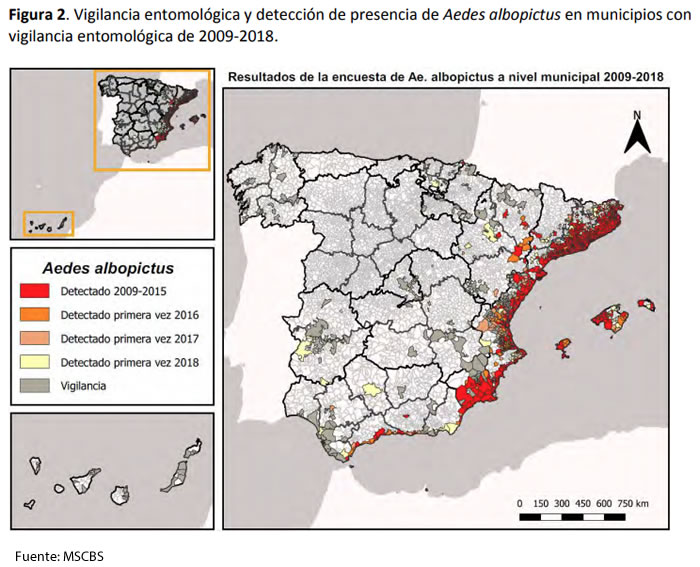 Mosquitos Aedes en España