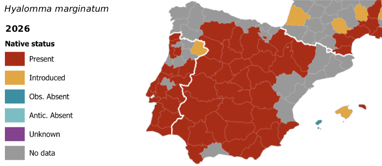 garrapatas