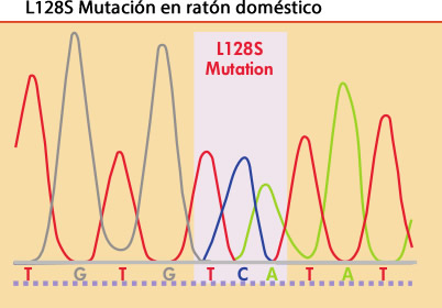 Entender y combatir la resistencia a los anticoagulantes